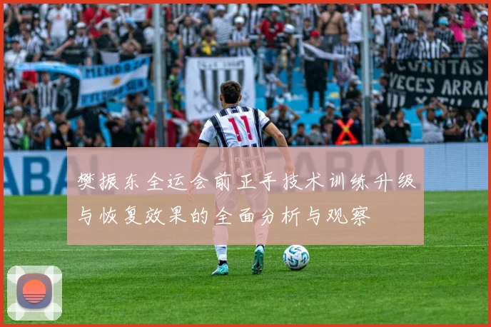 樊振东全运会前正手技术训练升级与恢复效果的全面分析与观察